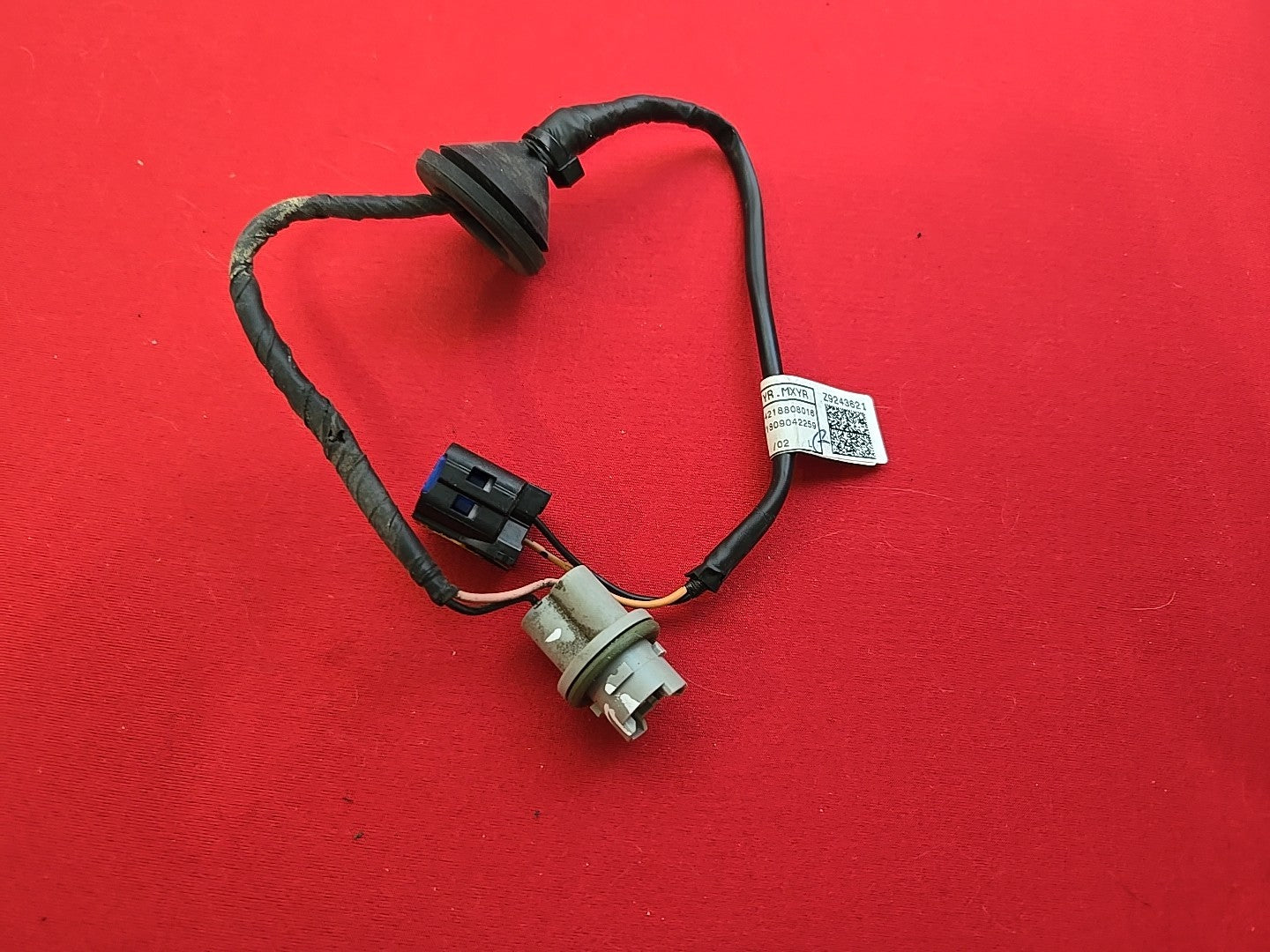 2019-2024 Kia Forte Left or Right INNER Incandescent Tail Light - SOCKET HARNESS