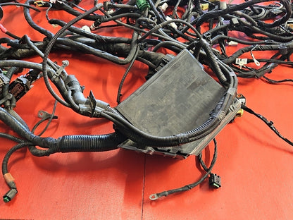 Fiat 500E ELECTRIC ONLY Body Wiring Harness - 68206061AE OEM - Complete no Cuts