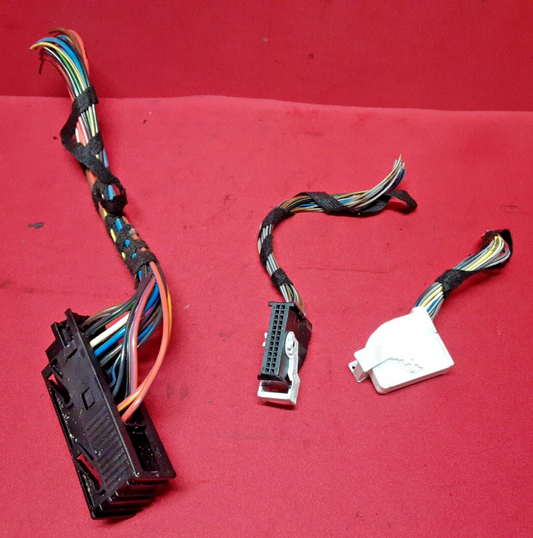 2003 - 2006 Land Rover Range Rover HSE Body Control Module YWC000922  - PIGTAILS