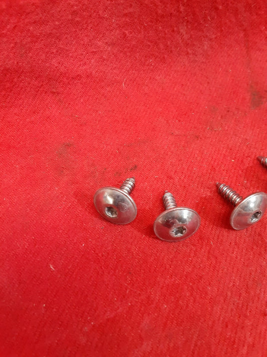2020 2021 Mercedes GLS Headlight Torx T20 Screw Set (5 Pieces)