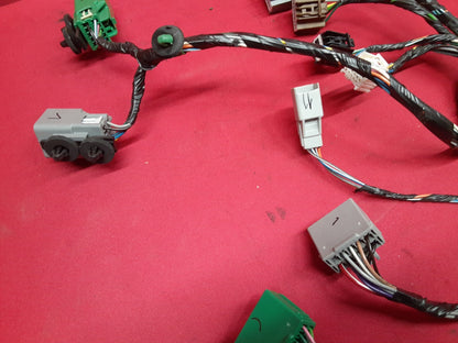 2009 Buick Enclave LEFT FRONT DRIVER Door Wiring Harness w/ Memory 25968588