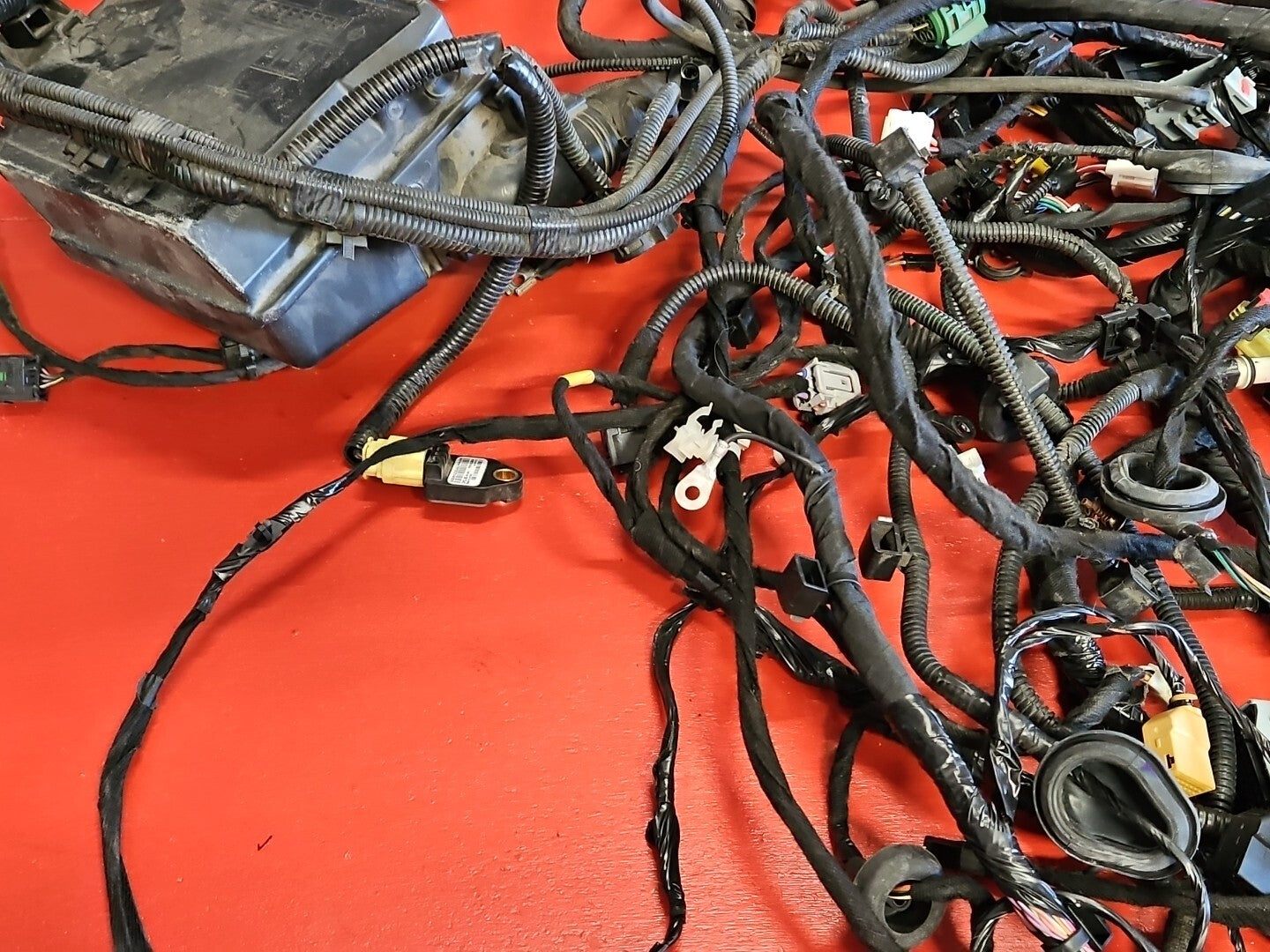 Fiat 500E ELECTRIC ONLY Body Wiring Harness - 68206061AE OEM - Complete no Cuts