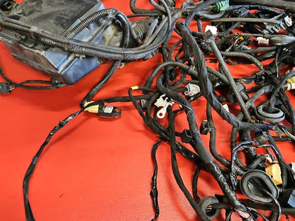Fiat 500E ELECTRIC ONLY Body Wiring Harness - 68206061AE OEM - Complete no Cuts
