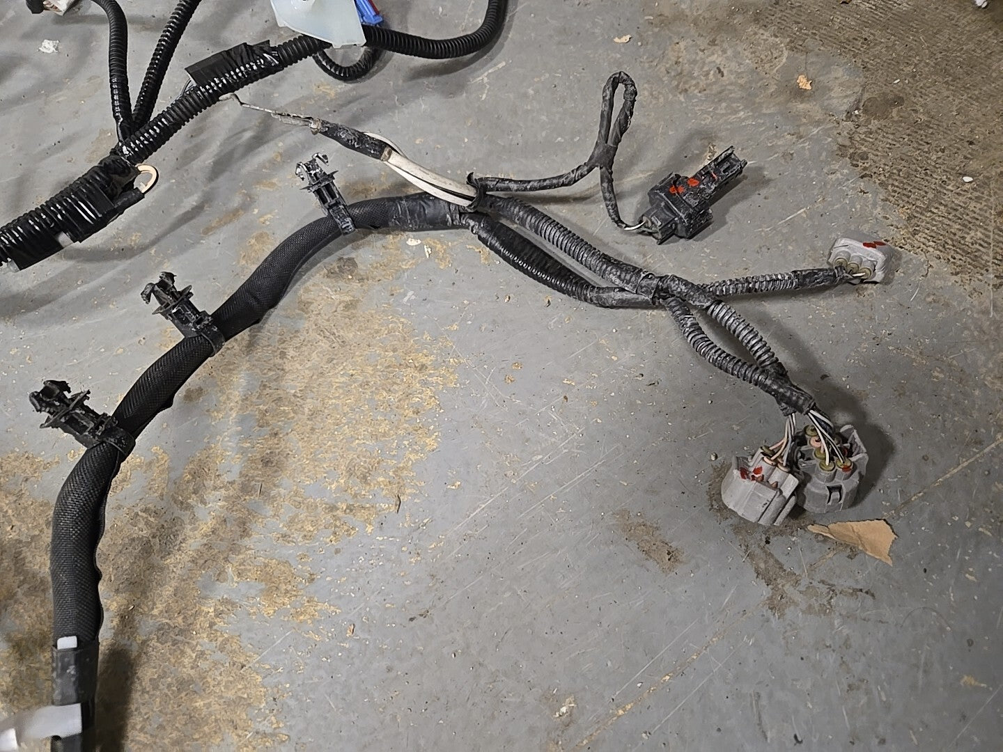 2014 2015 Lexus IS250 2.5L V6 RWD Engine to Dash Wiring Harness COMPLETE *1 PLUG