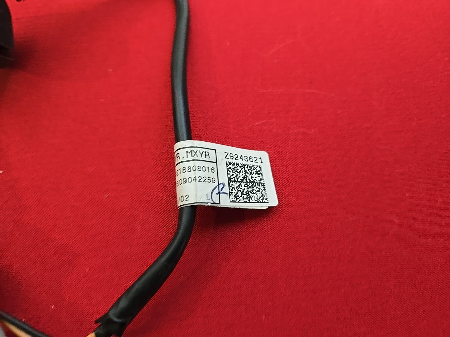 2019-2024 Kia Forte Left or Right INNER Incandescent Tail Light - SOCKET HARNESS