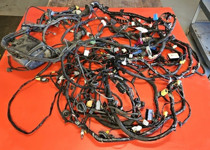 Fiat 500E ELECTRIC ONLY Body Wiring Harness - 68206061AE OEM - Complete no Cuts