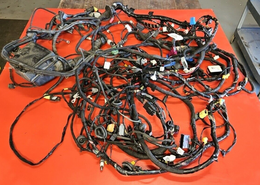 Fiat 500E ELECTRIC ONLY Body Wiring Harness - 68206061AE OEM - Complete no Cuts