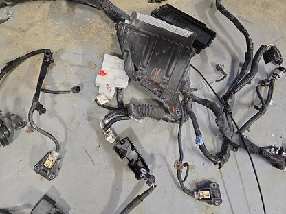 2014 2015 Lexus IS250 2.5L V6 RWD Engine to Dash Wiring Harness COMPLETE *1 PLUG