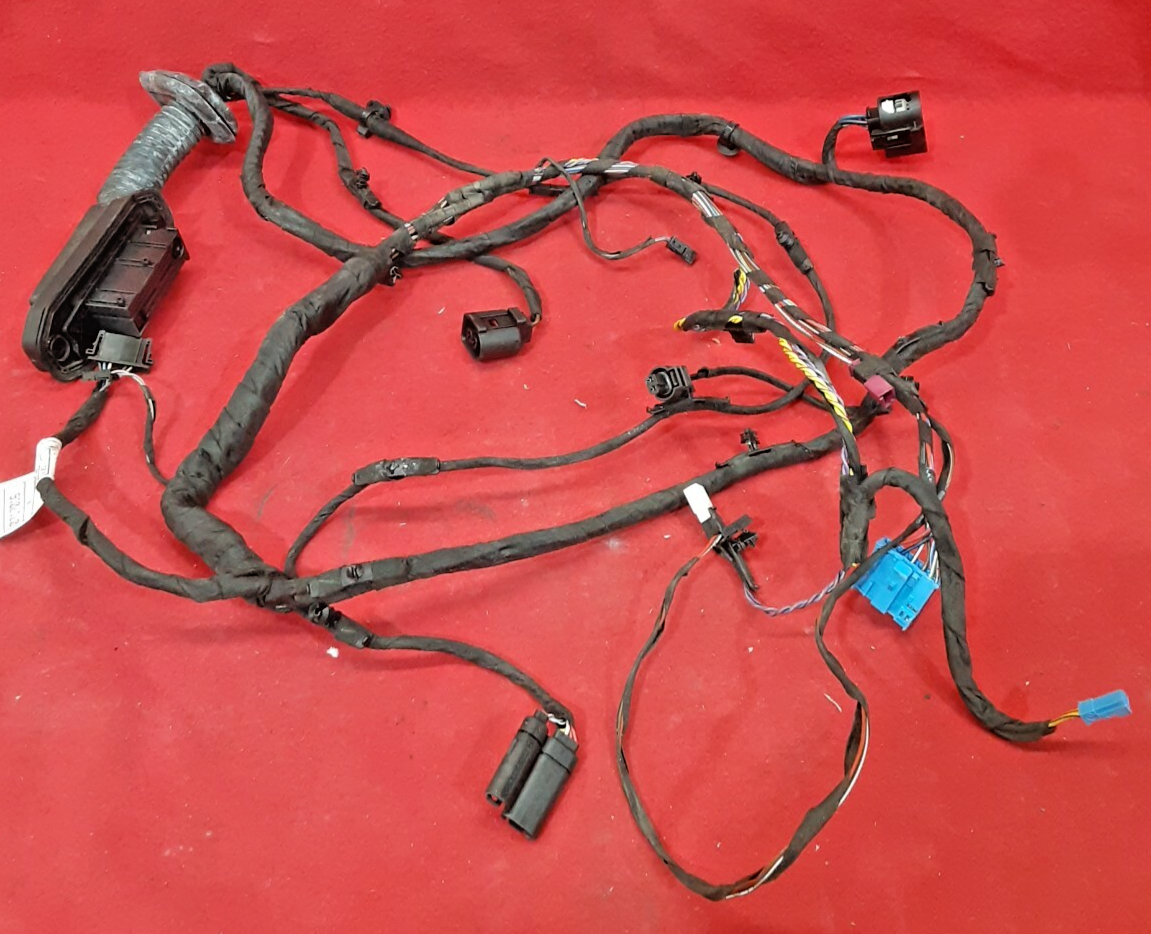 2013 - 2016 BMW M6 - Gran Coupe - Rear Driver Side Door Wiring Harness