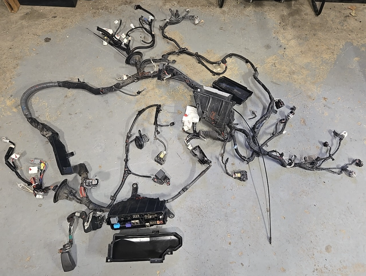 2014 2015 Lexus IS250 2.5L V6 RWD Engine to Dash Wiring Harness COMPLETE *1 PLUG