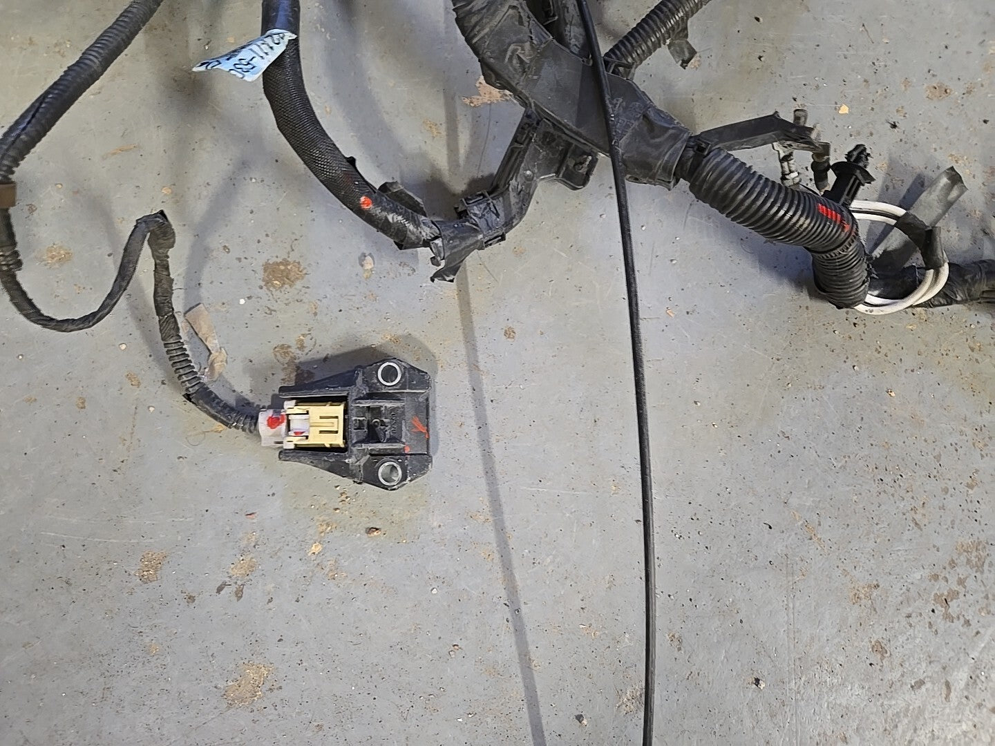 2014 2015 Lexus IS250 2.5L V6 RWD Engine to Dash Wiring Harness COMPLETE *1 PLUG