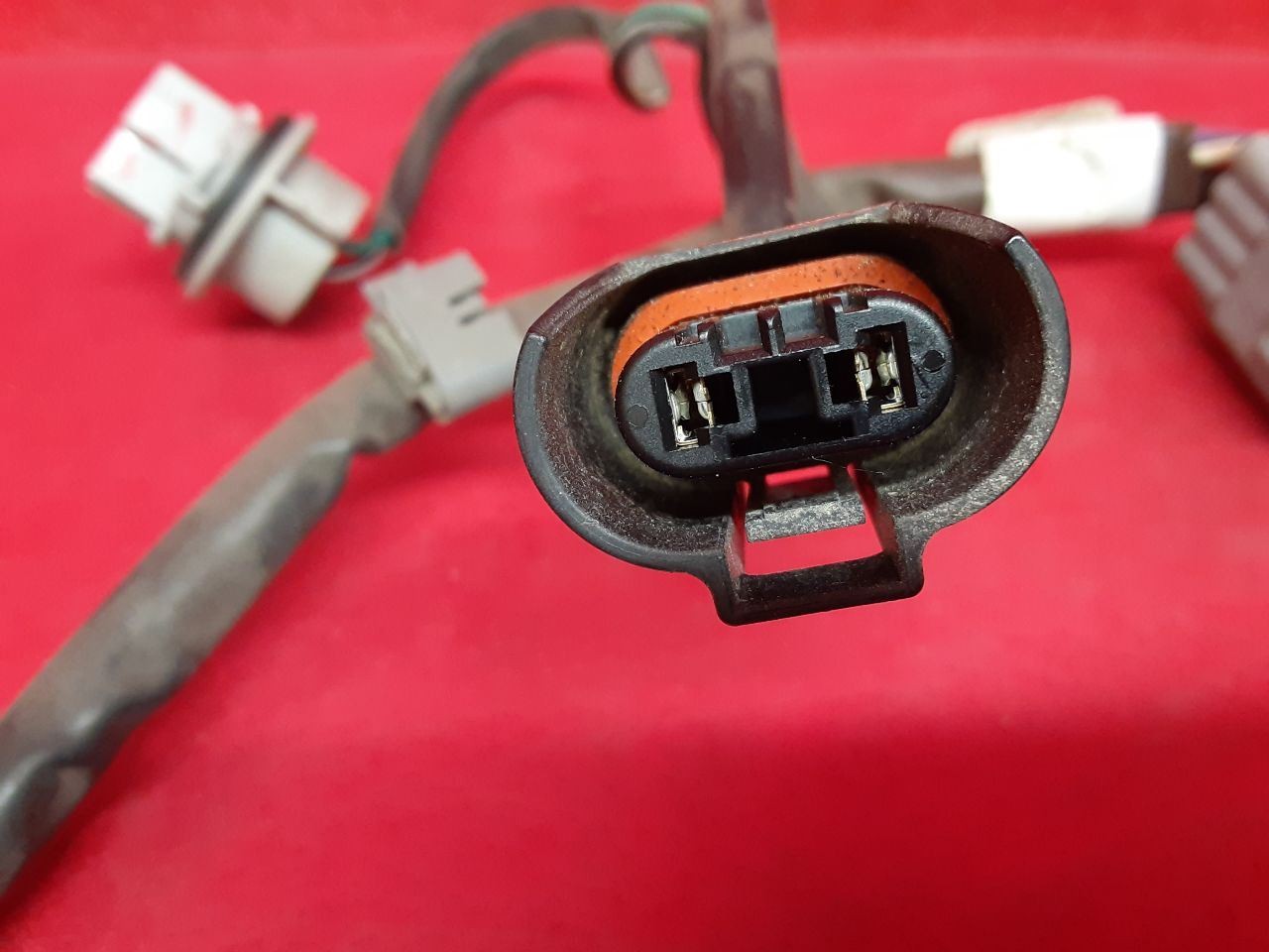 15-17 Subaru Legacy & Outback Left or Right Headlight Harness HALOGEN