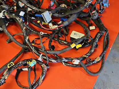 Fiat 500E ELECTRIC ONLY Body Wiring Harness - 68206061AE OEM - Complete no Cuts