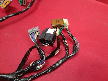 2009 Buick Enclave RIGHT PASSENGER FRONT Door Wiring Harness 25968589