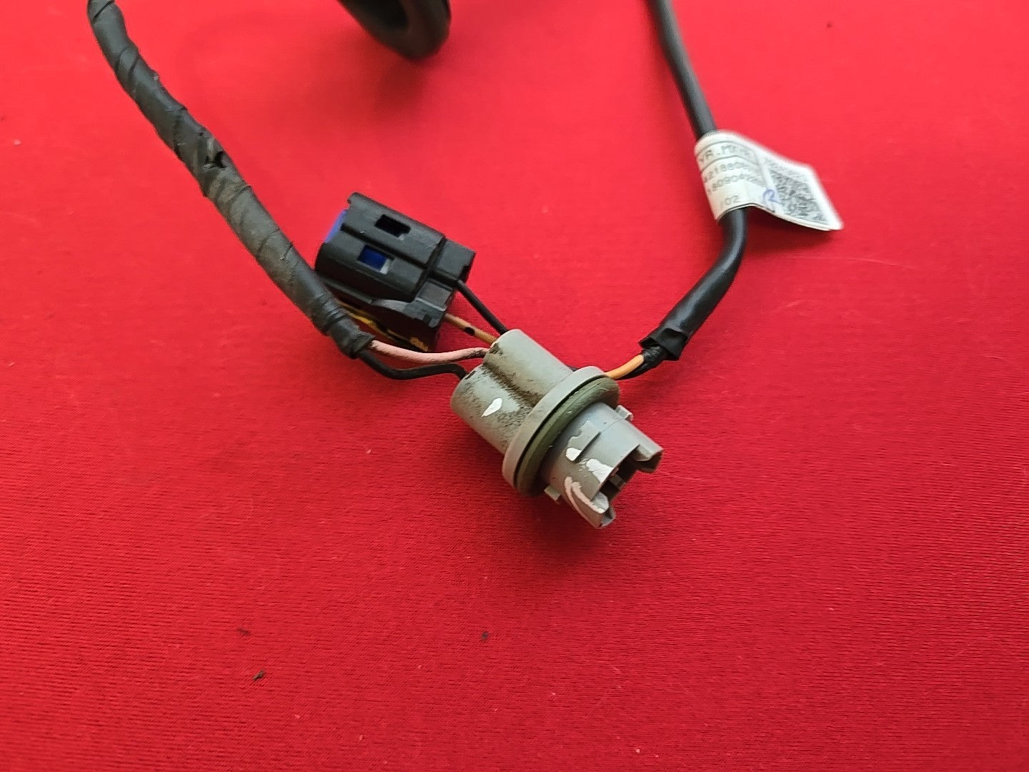 2019-2024 Kia Forte Left or Right INNER Incandescent Tail Light - SOCKET HARNESS