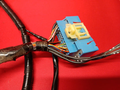 2007 2008 2009 Mazda CX-9 - Rear Harness NO.2. (Rear) - TD29-67-060F