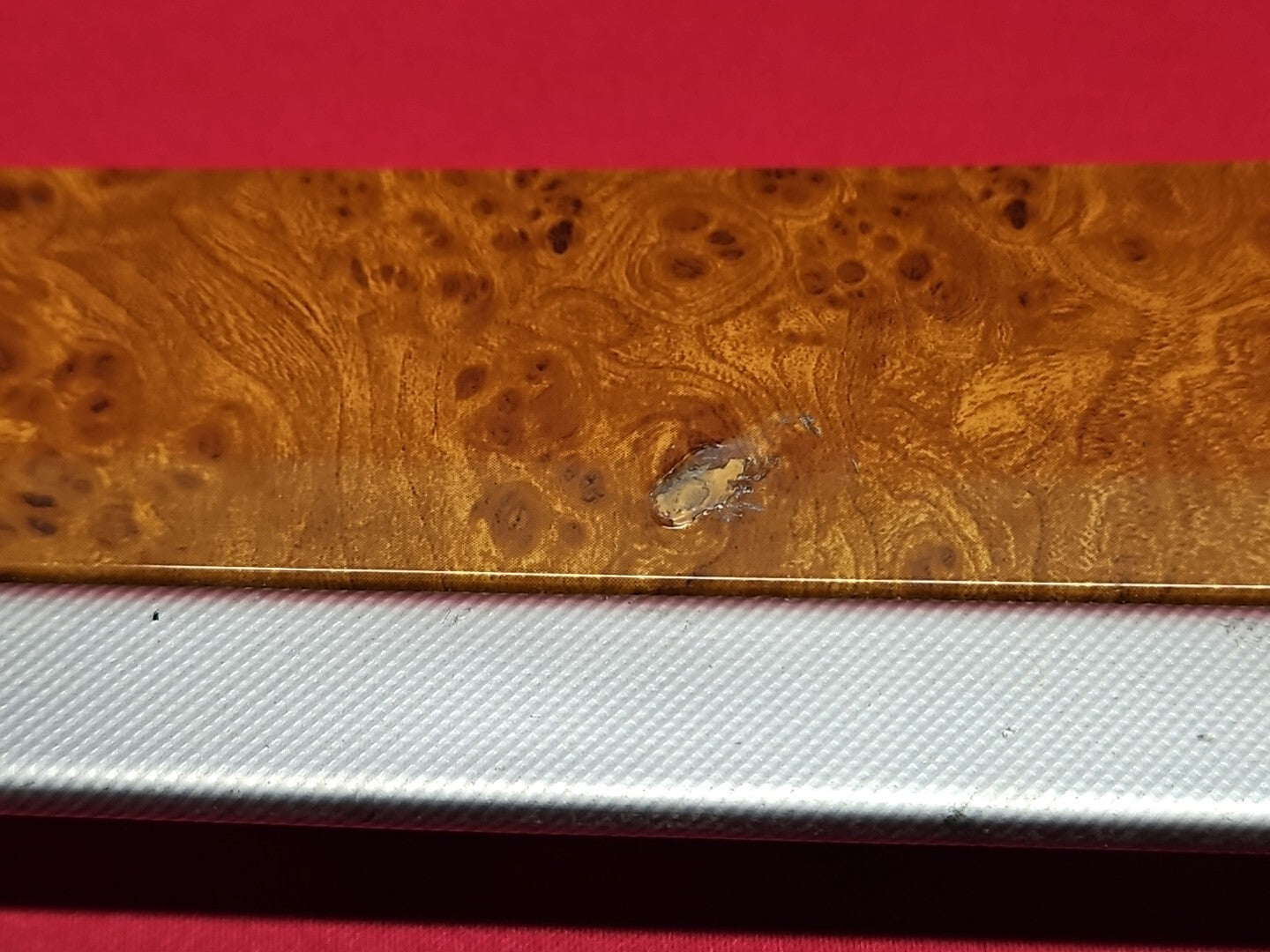 2004-2006 Acura TL Rear Right Door Trim Wood Grain 83734-SEP-A01ZB