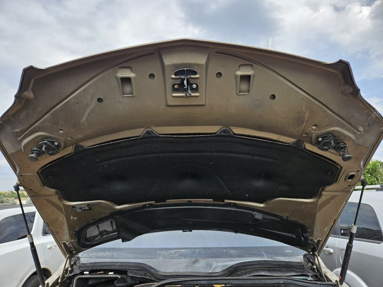 2008-2012 Mercedes GL550 Base Hood Panel Bonnet 798 Sand Beige Metallic
