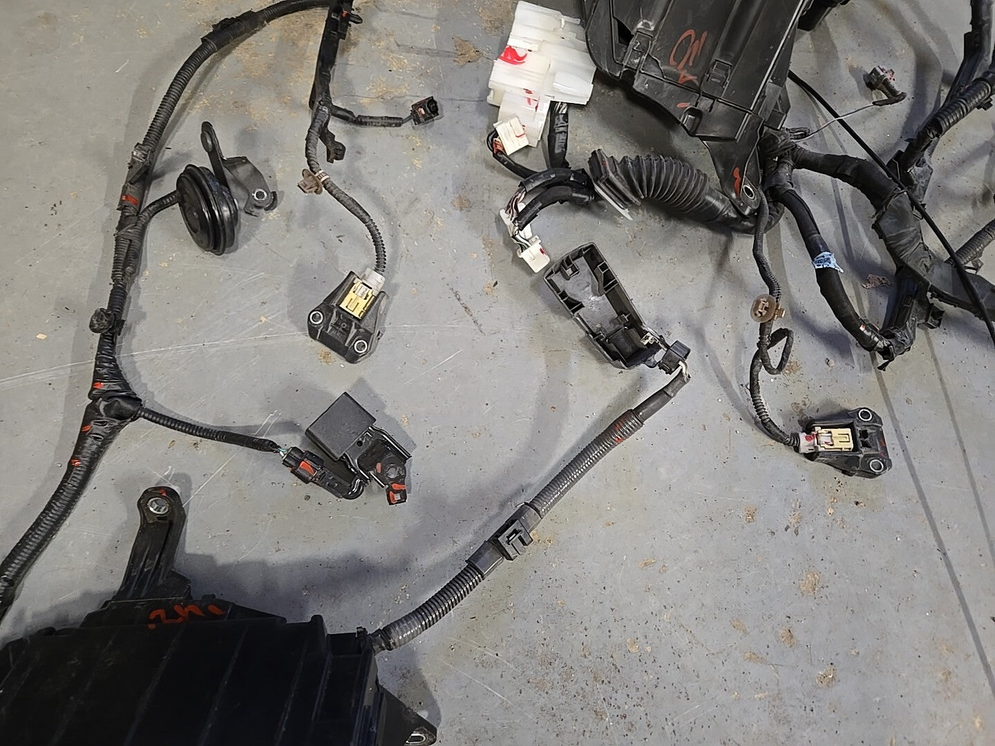 2014 2015 Lexus IS250 2.5L V6 RWD Engine to Dash Wiring Harness COMPLETE *1 PLUG