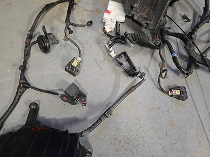 2014 2015 Lexus IS250 2.5L V6 RWD Engine to Dash Wiring Harness COMPLETE *1 PLUG