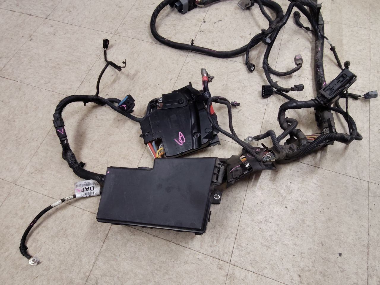 2012 2013 Ford Focus EV Electric Drive Motor Wiring Harness w/ HID Headlamps