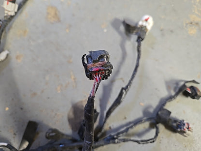 2014 2015 Lexus IS250 2.5L V6 RWD Engine to Dash Wiring Harness COMPLETE *1 PLUG
