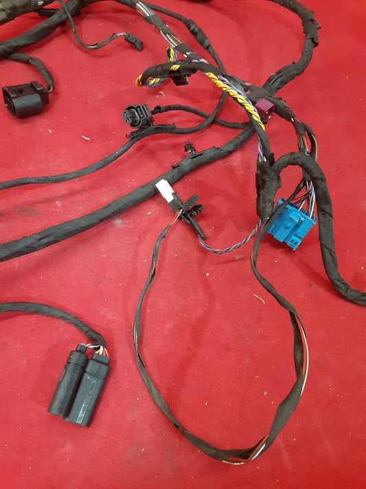 2013 - 2016 BMW M6 - Gran Coupe - Rear Driver Side Door Wiring Harness