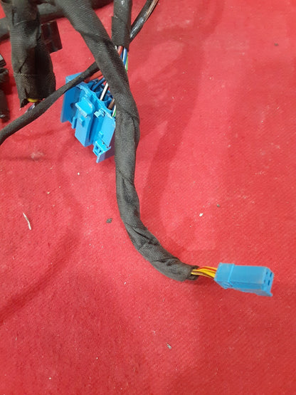 2013 - 2016 BMW M6 - Gran Coupe - Rear Driver Side Door Wiring Harness