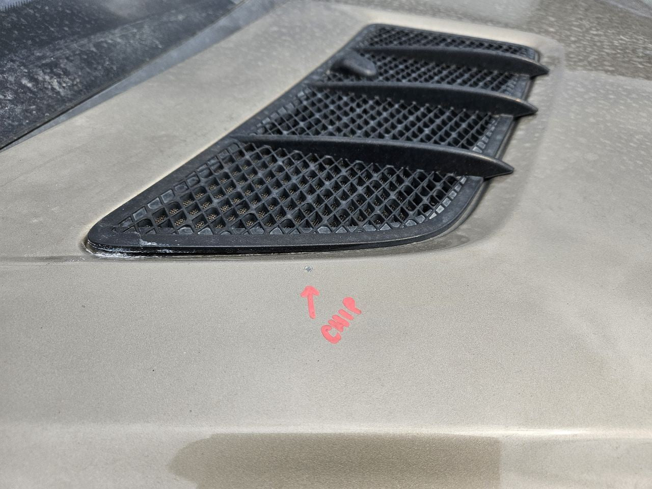 2008-2012 Mercedes GL550 Base Hood Panel Bonnet 798 Sand Beige Metallic
