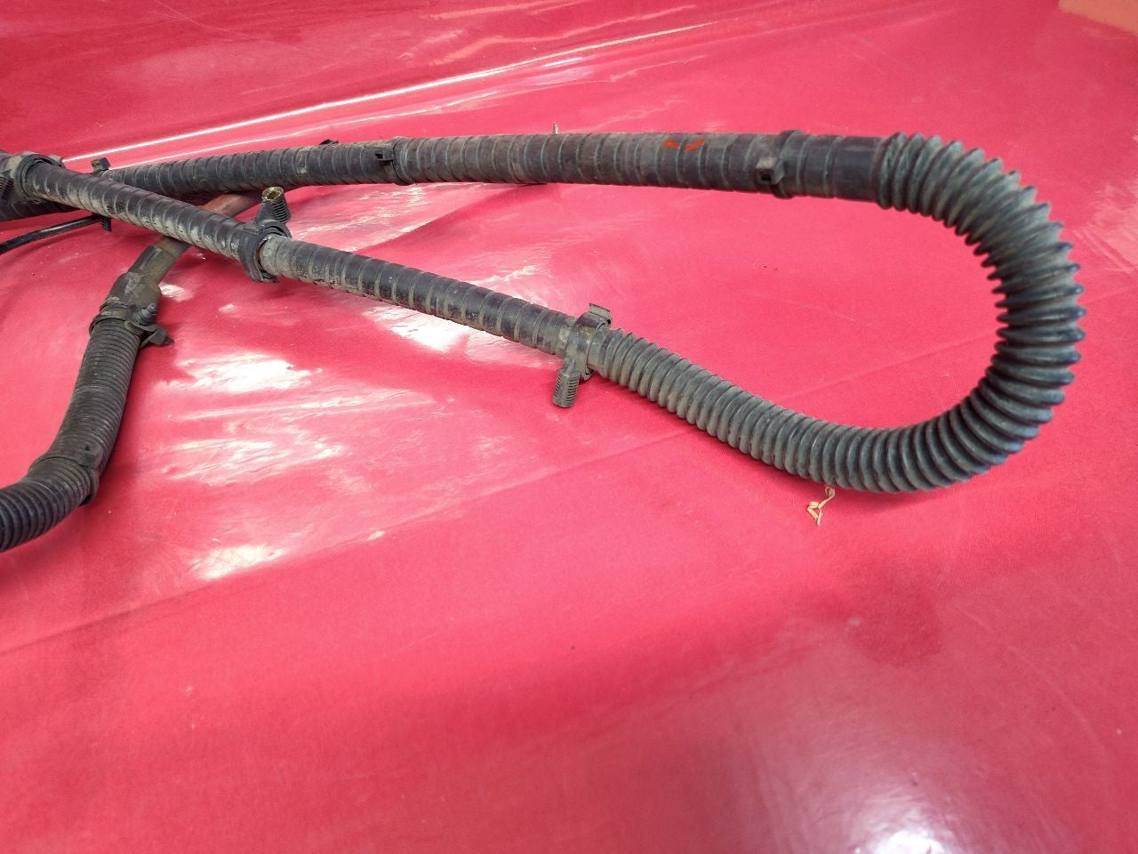 2002 2003 Mini Cooper Base / S Positive Battery Cable Wiring Harness Loom