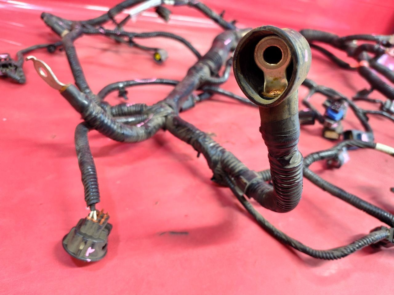 2012-2014 Ford Focus EV Electric Drive Motor to Transmission Wiring Harness