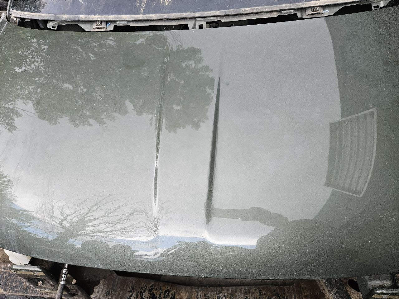 2012-2019 Fiat 500 Hood Panel Bonnet PFP Oliva Green Pearl - Grade Low A