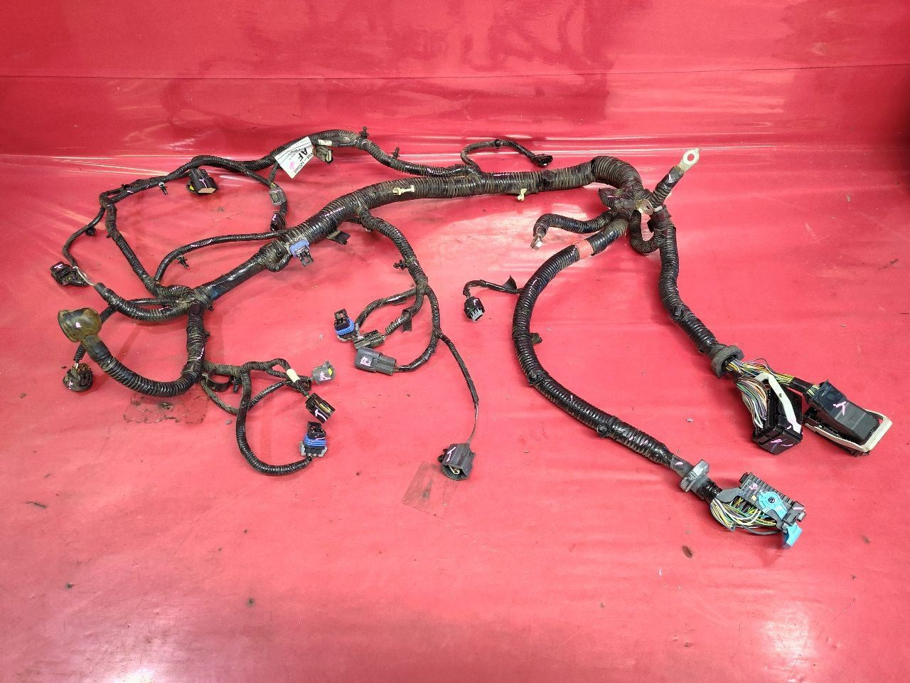 2012-2014 Ford Focus EV Electric Drive Motor to Transmission Wiring Harness