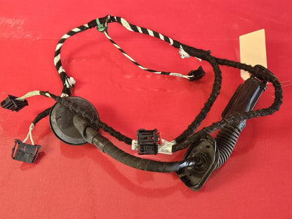 2018-2021 VW Volkswagen Tiguan REAR RIGHT PASSENGER Door Wiring Harness Loom